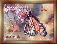 Carte Amiti� 10
