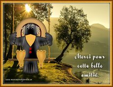 Carte Amiti� 2