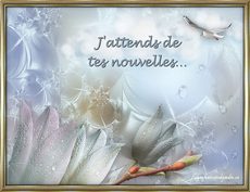 Carte Amiti� 4