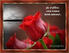 Carte Amour 3