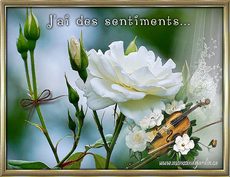 Carte Amour 4