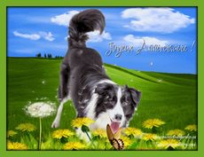 Carte d'anniversaire anim�e