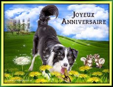 Carte d'anniversaire