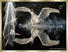Carte d'anniversaire