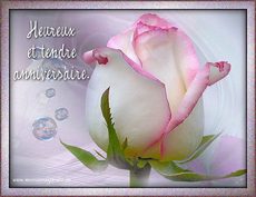 Carte d'anniversaire