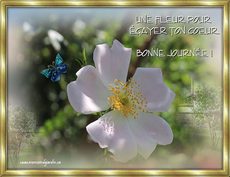 Carte Bonne journ�e / Bonjour