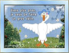 Carte C�lins et Bisous 3