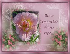 Carte Dimanche 1