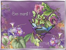 Carte Mardi 2