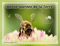 Carte Jour de la Terre anim�e 2