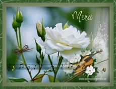 Carte Merci anim�e 1