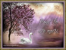 Carte Merci 10