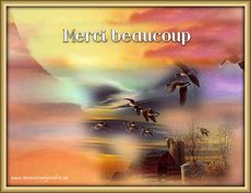 Carte Merci 6
