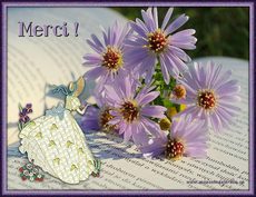 Carte Merci 7