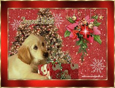 Carte No�l statique 20