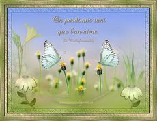 Carte Pardon / Excuses 9