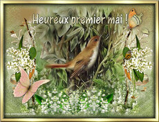 Carte Premier mai statique 7