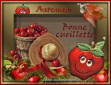 Carte Automne 15