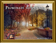 Carte Automne 3
