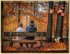 Carte Automne 6