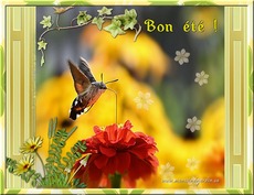 Carte �t� 2