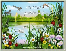 Carte �t� 6