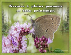 Carte Printemps 1