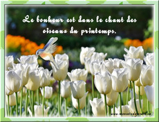 Carte Printemps 12