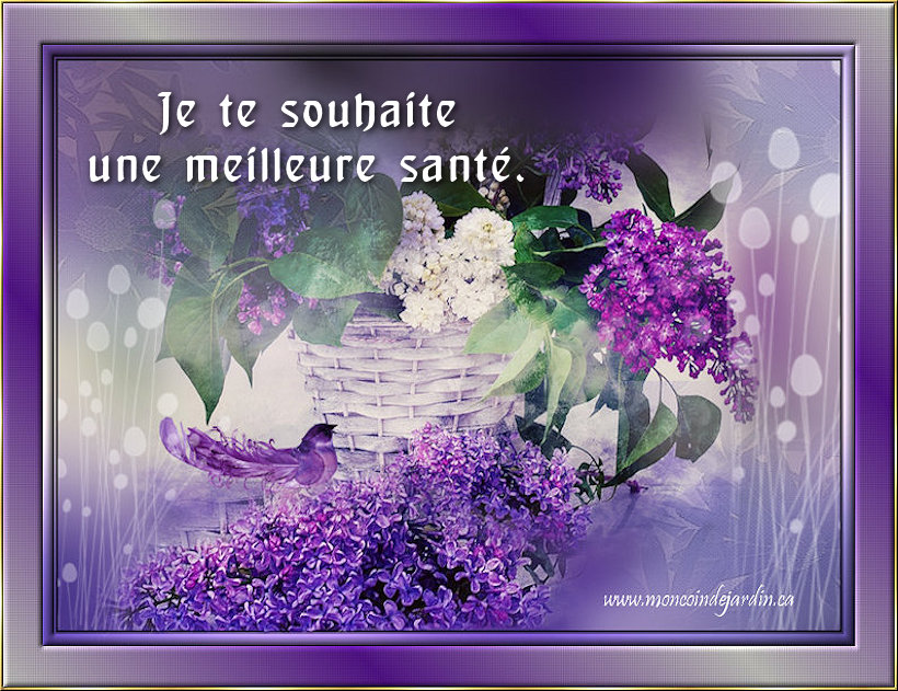 Carte Sant� 1