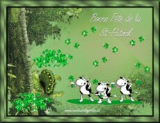 Carte St-Patrick 6