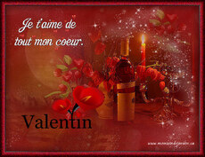 Carte Saint-Valentin statique 1