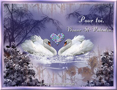 Carte Saint-Valentin statique 44