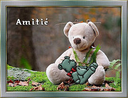 Amiti�