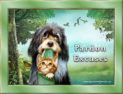 Pardon/Excuse-moi